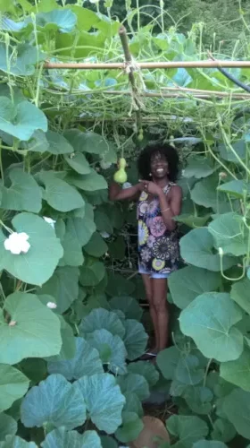 Lukay montrant ses calebasses dans sa plantation